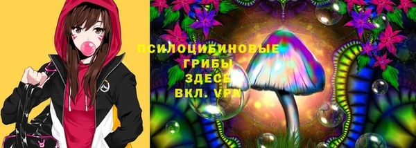 мет Абаза