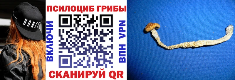 Псилоцибиновые грибы Magic Shrooms  hydra ONION  Элиста 