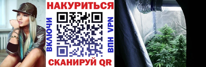 Бошки марихуана индика  Элиста 